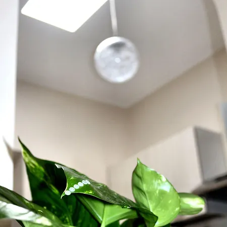 Bed & Breakfast Donna Melina