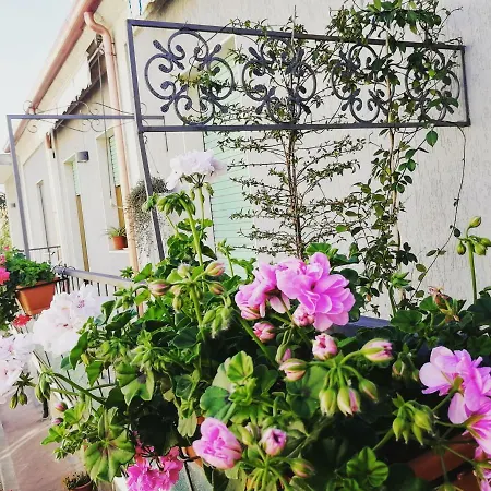 Bed & Breakfast Donna Melina *
