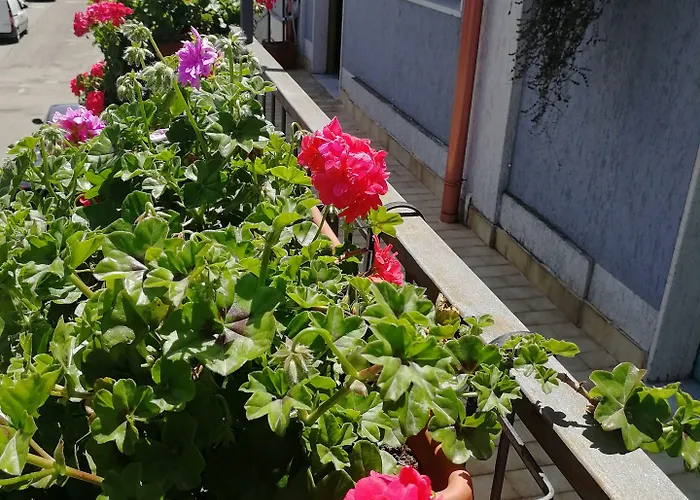 Donna Melina Frühstückspension Mileto